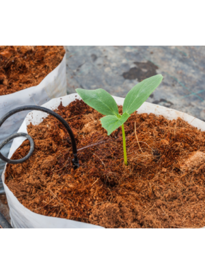 Planter Bags